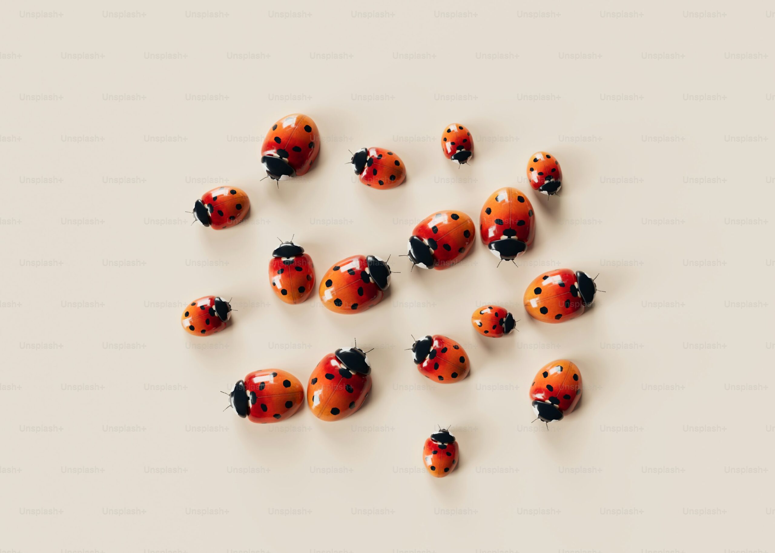 what do ladybugs eat