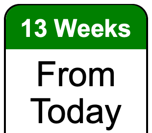 13 weeks from today