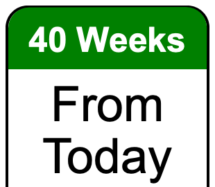 40 weeks from today